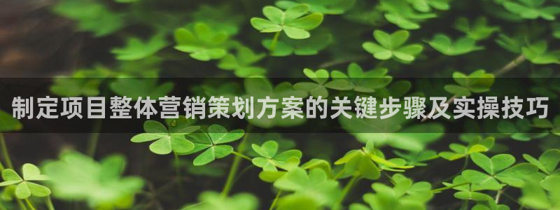 必赢平台官方客服电话