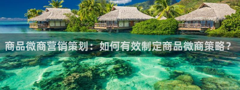 必赢线上网址