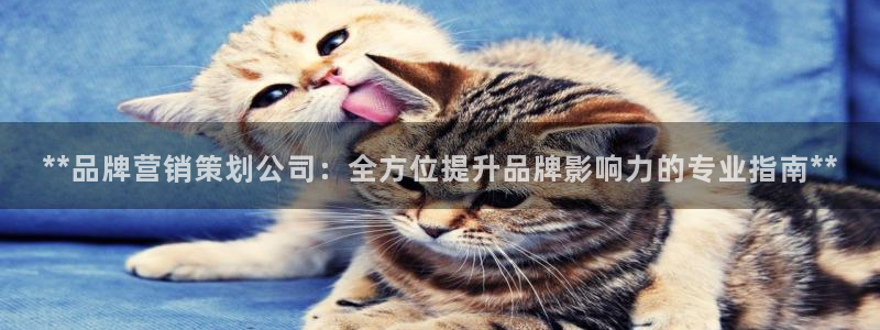 必赢这个软件怎么样可靠吗