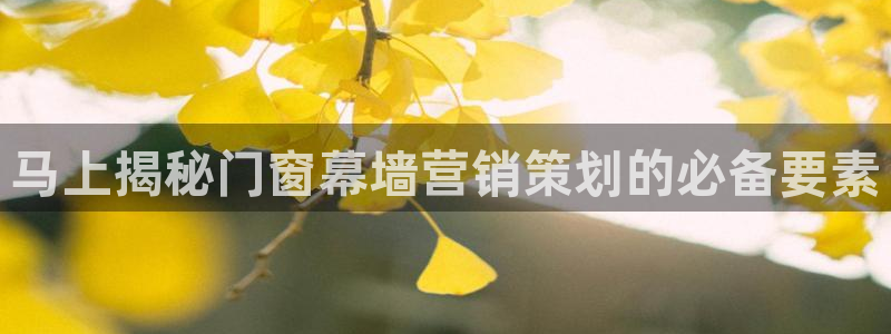 必赢必赢
