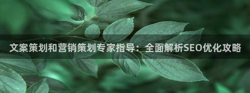 必赢科技有限公司