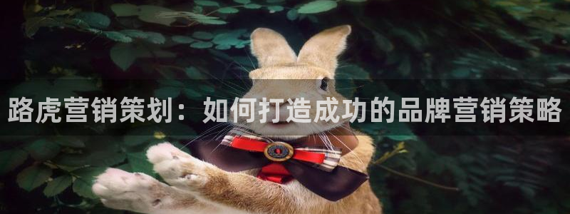 必赢手机app下载
