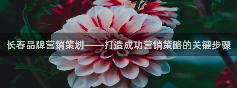 必赢旧网站