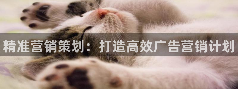必赢平台电子