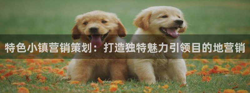 必赢国际网站合法吗