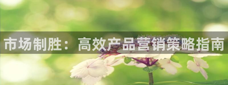 必赢国际app最新官网