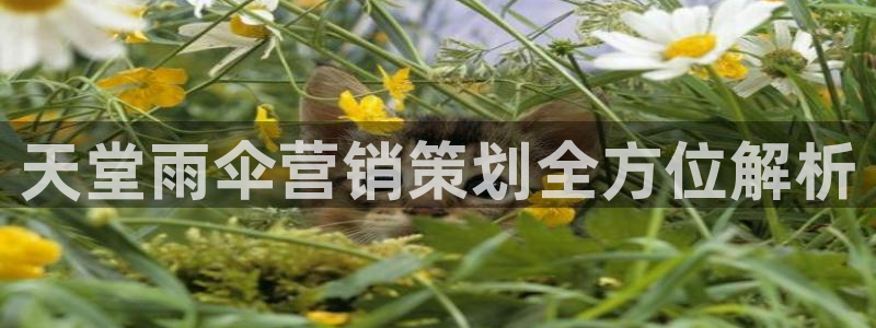 必赢国际儋州社区