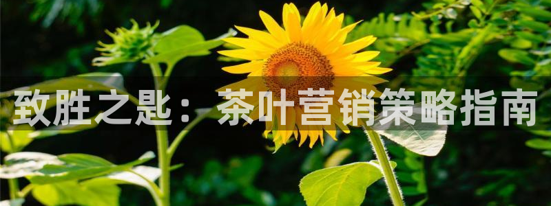 必赢这个软件怎么样啊