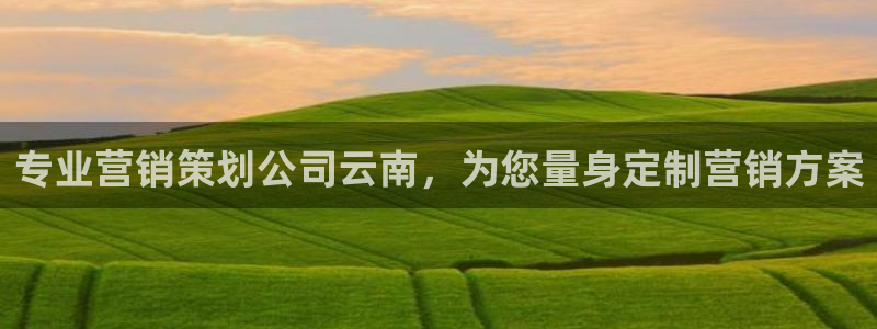 必赢8111e