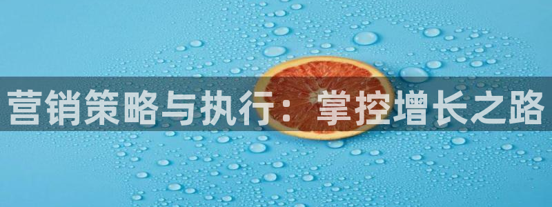 必赢官网网址多少