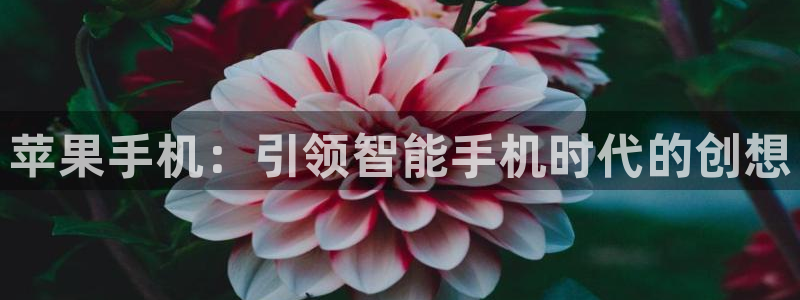 必赢官网app下载安装