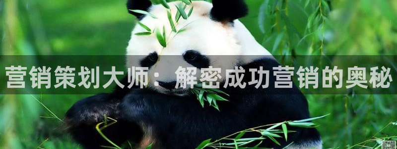 必赢net.95