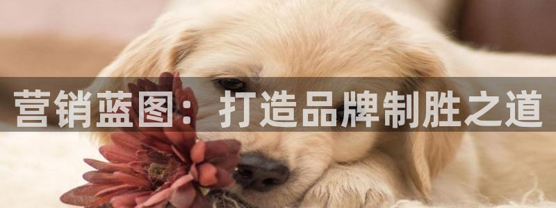 必赢这个平台怎么样知乎