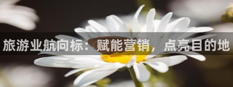 必赢手机app下载安装