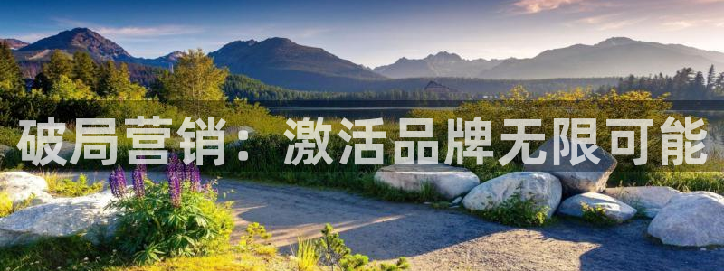 必赢手机版网站多少
