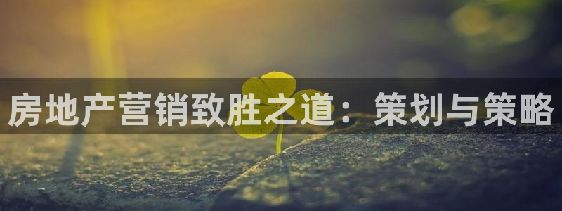 必赢官网网站入口