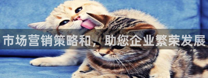 必赢网站