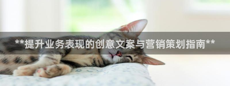 必赢平台网站多少
