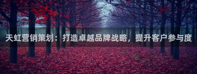 必赢官网网站入口