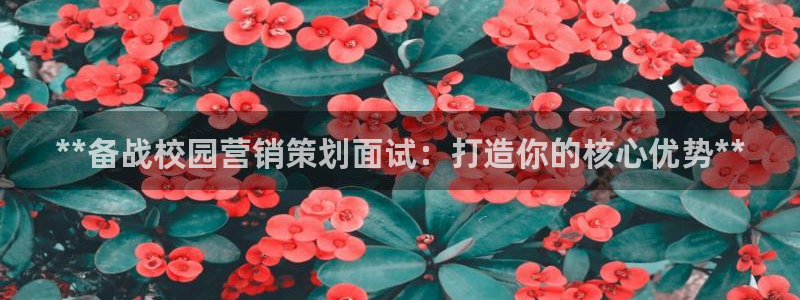 必赢最新网页