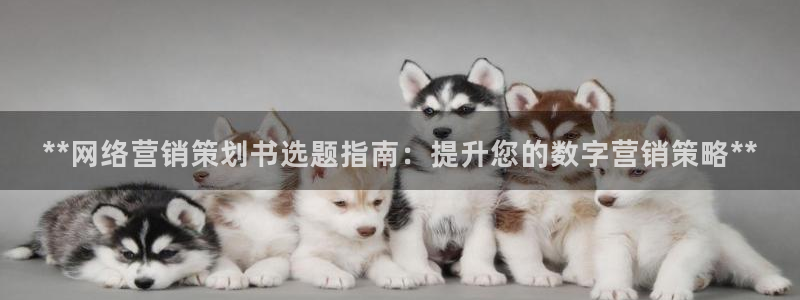 必赢官网app下载安装苹果