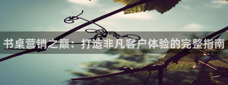 必赢app客户端下载
