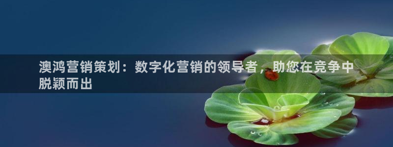 必赢这个平台怎么样可靠吗