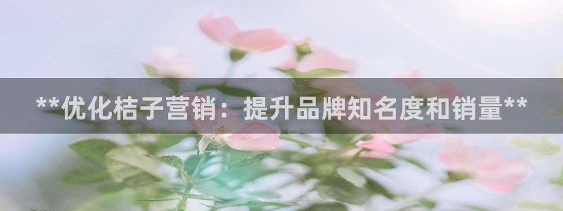 必赢手机app下载安装官网