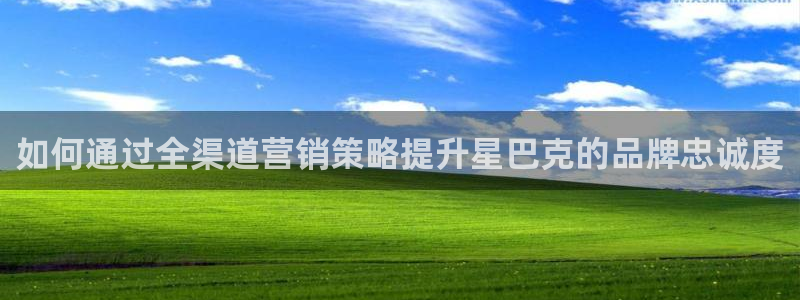必赢网址