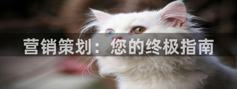 必赢平台官方电话