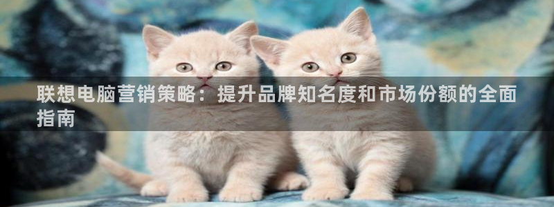 必赢官网网站