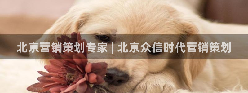 必赢3003必赢贵族宾会