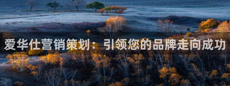 必赢手机app下载最新版安卓苹果