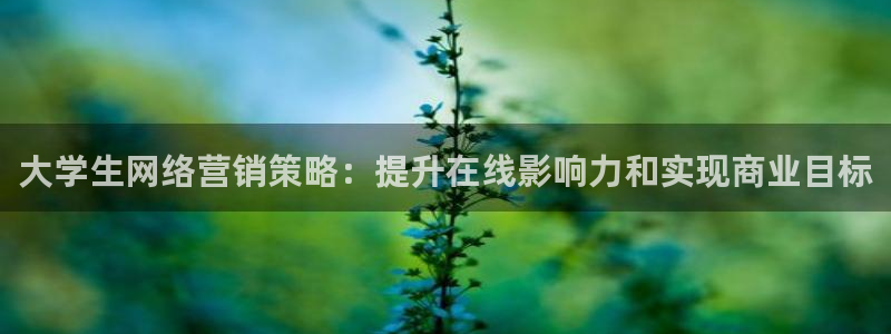 必赢88