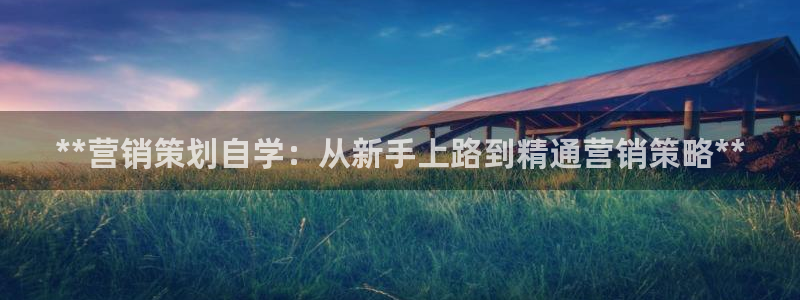 必赢3003网官