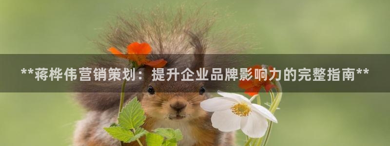 必赢线上网址查询