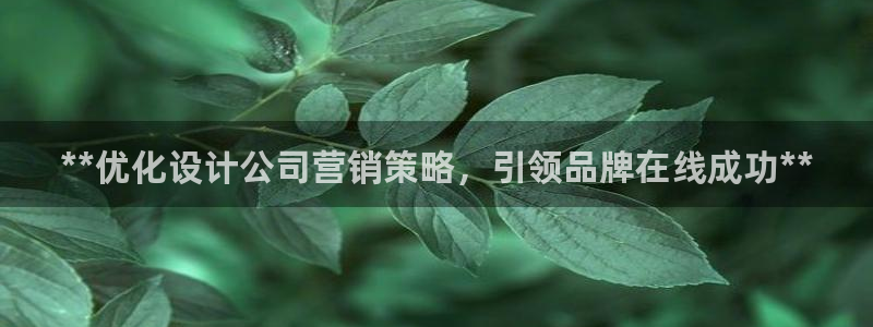必赢国际437官方介绍