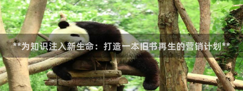 必赢手机app下载 最新版安卓苹果