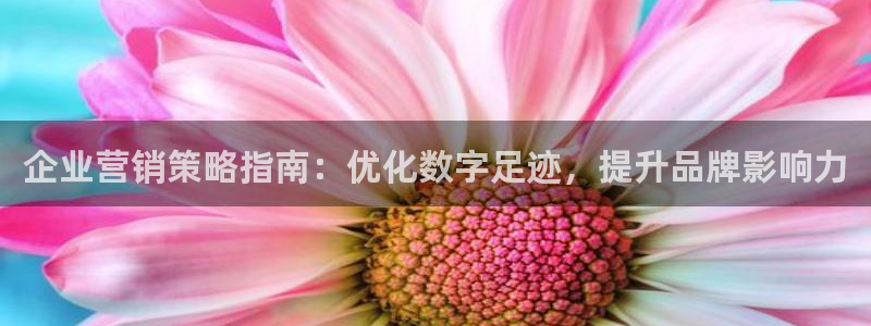 必赢国际437官方介绍