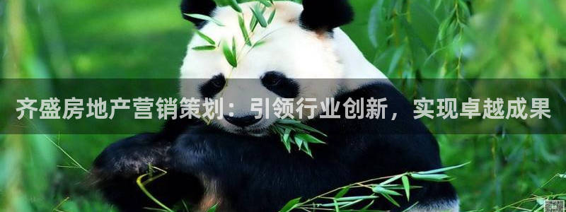 必赢网址手机主页