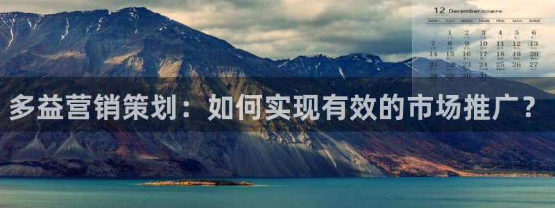 必赢网站网址是多少