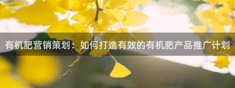 必赢客软件