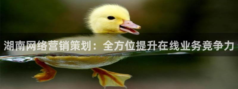 必赢网站