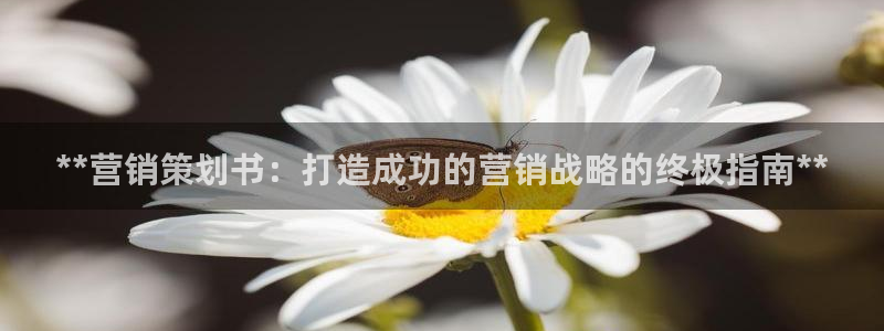 必赢必赢