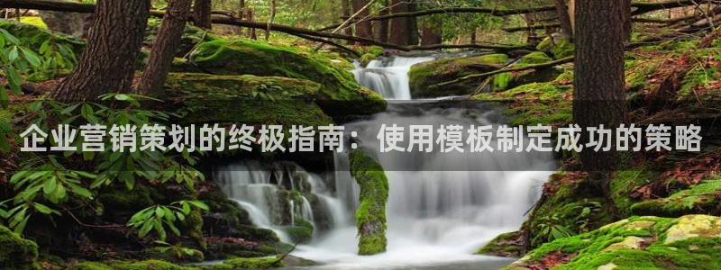 必赢网站是哪一个公司的