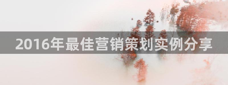 必赢net.95