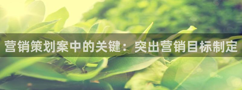 必赢网址谁知道的