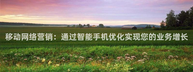 必赢网址