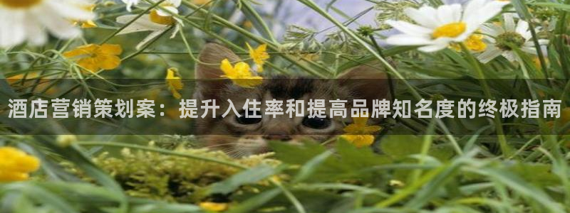 必赢客软件