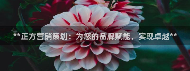 必赢网站是哪一个